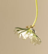 PLAIN RING(WIDE) 【一部予約注文:1/27頃発送】