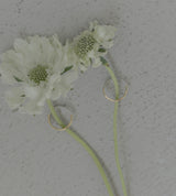 BICOLOR RING 【一部予約注文:1/20頃発送】