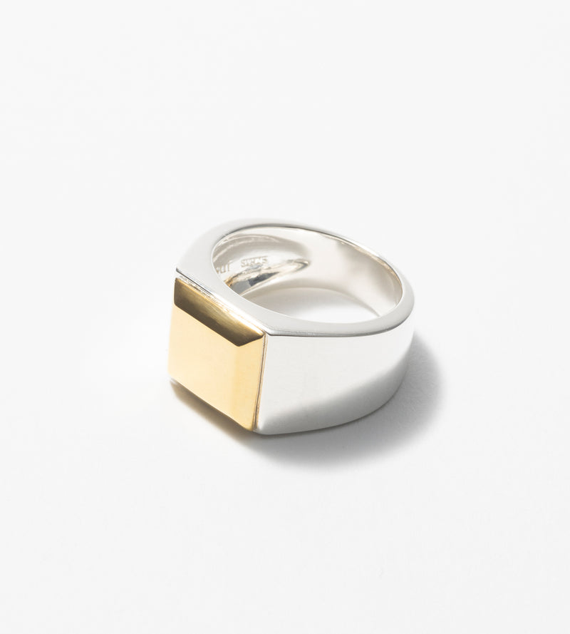 BICOLOR SIGNET RING
