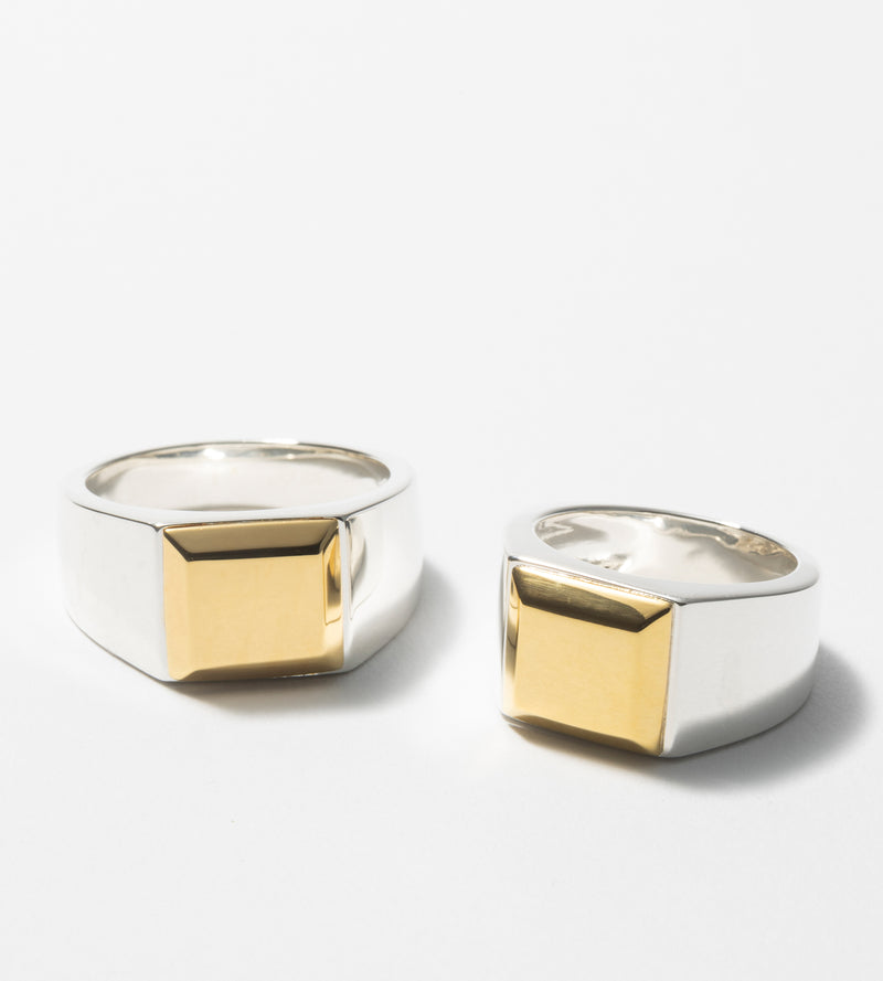 BICOLOR SIGNET RING