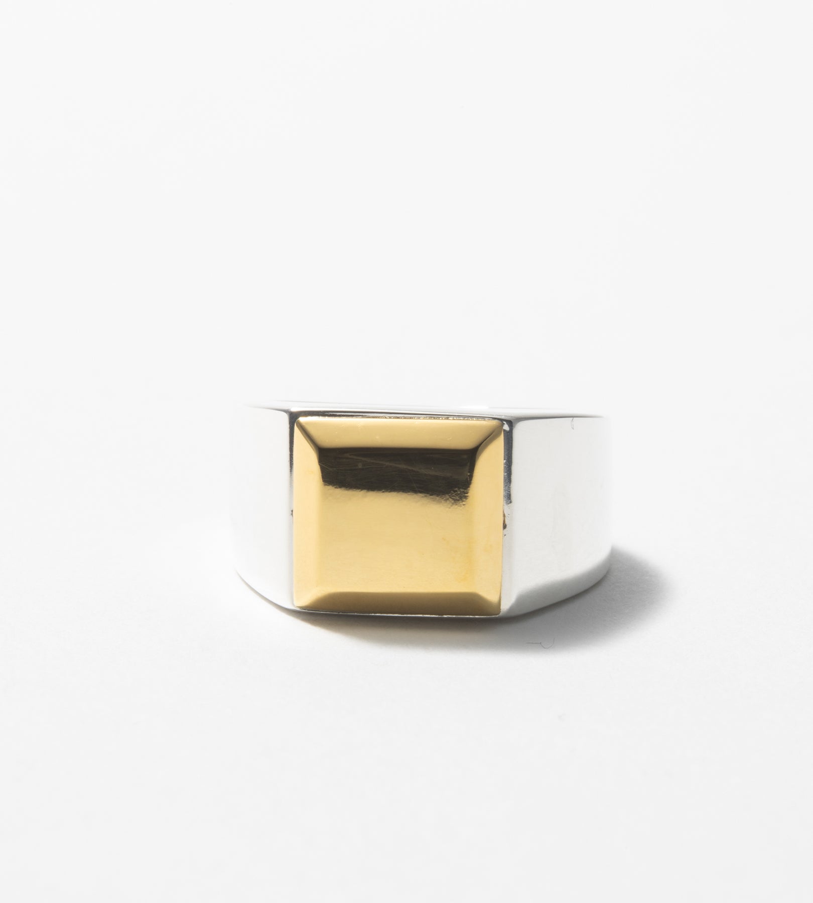 BICOLOR SIGNET RING