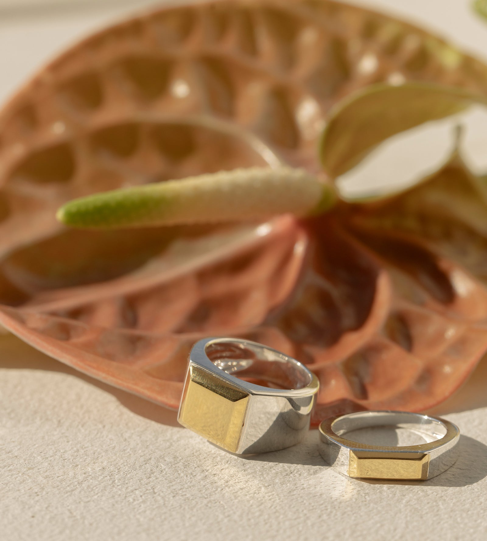 BICOLOR SIGNET RING - tsui