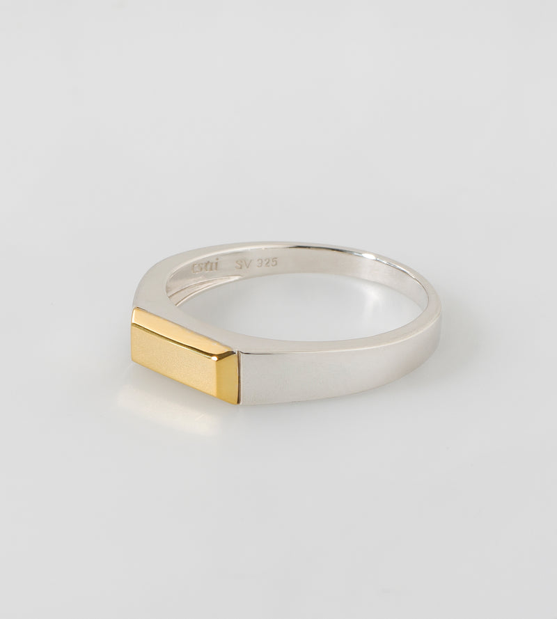 BICOLOR SIGNET RING (THIN)