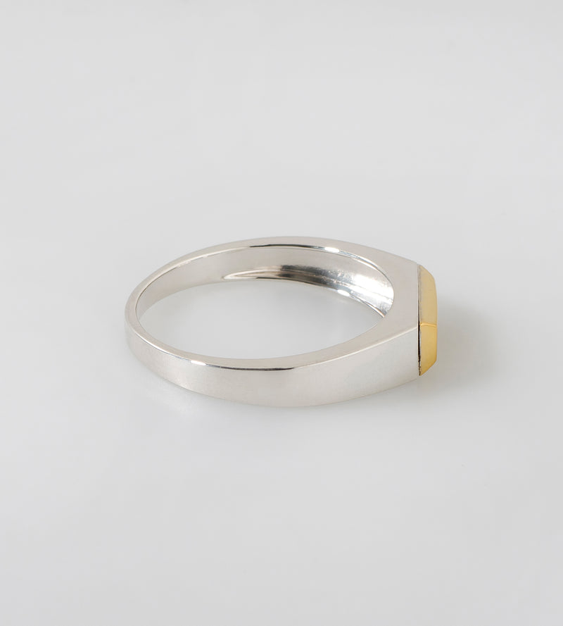 BICOLOR SIGNET RING (THIN)