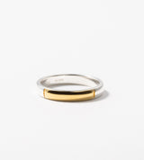 STRAIGHT CURVE POINT BICOLOR RING 3MM